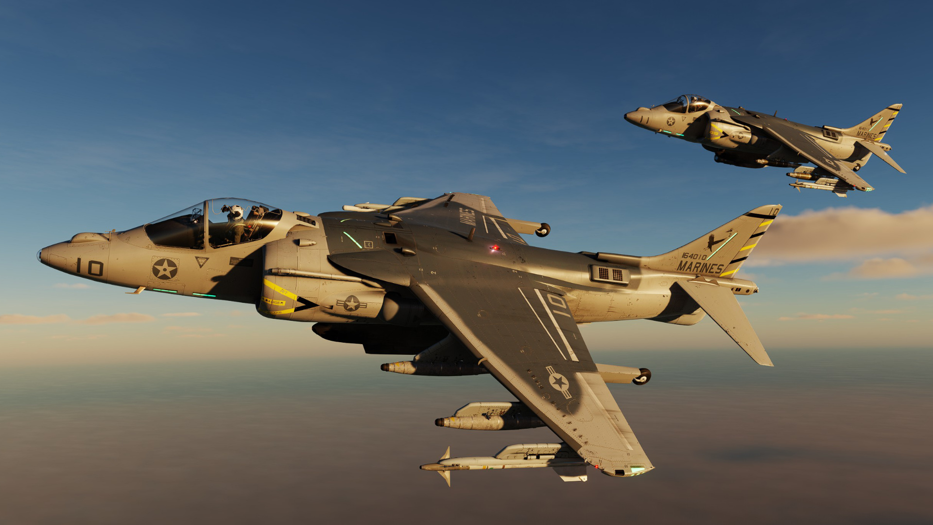 Harrier Nahaufnahme